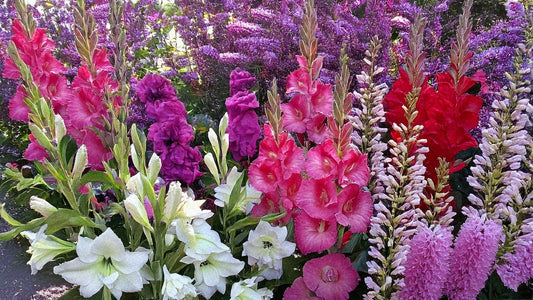 Success with Succession Planting: Keep Your Flower Garden Blooming All Season