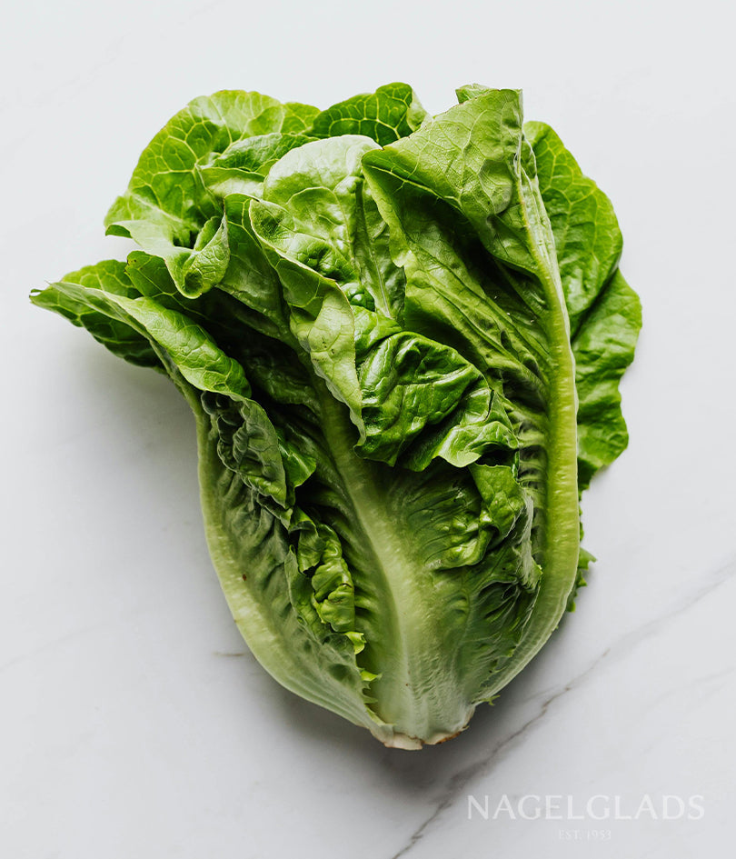 Lettuce Romaine Ballon