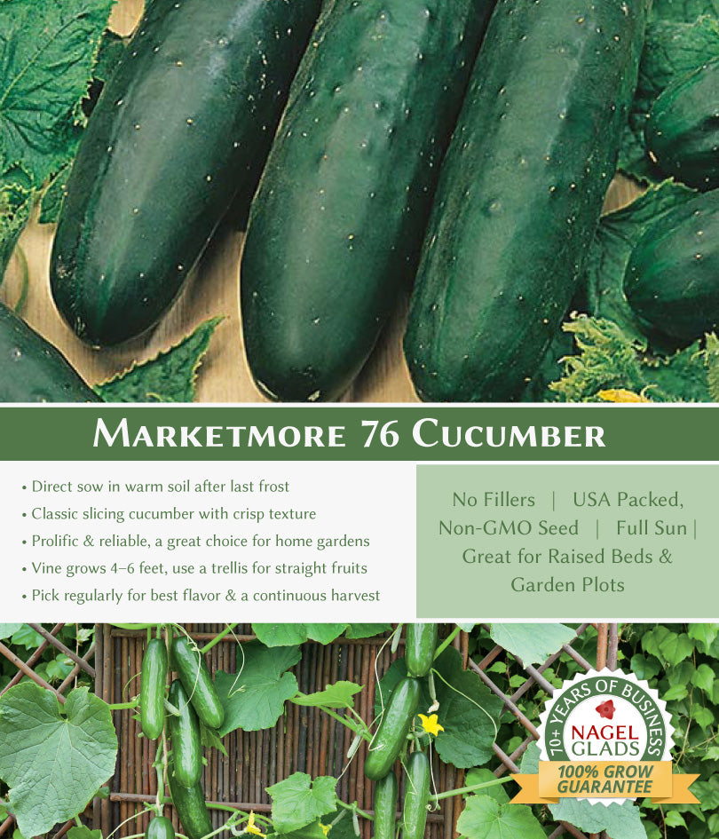 Cucumber Marketmore 76 Vegetable Seeds