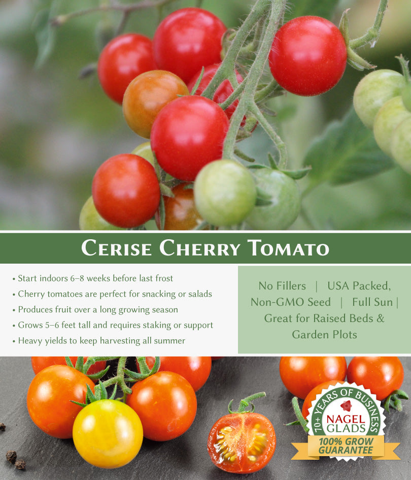 Tomato Cherry Cerise Vegetable Seeds