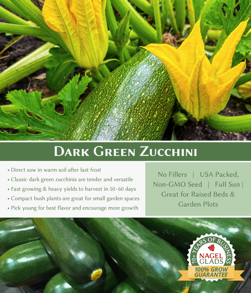 Zucchini Dark Green Vegetable Seeds