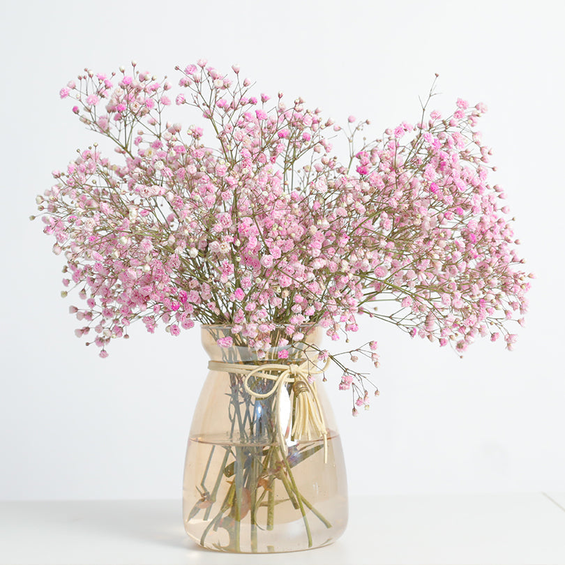How to Start a Backyard Cut Flower Business