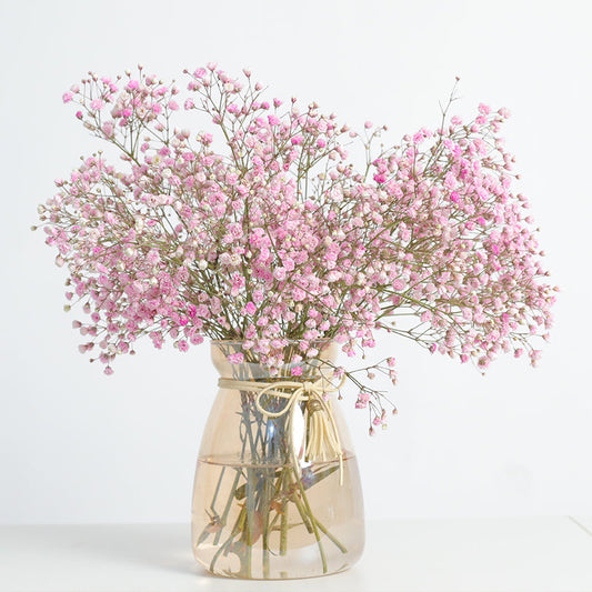 How to Start a Backyard Cut Flower Business