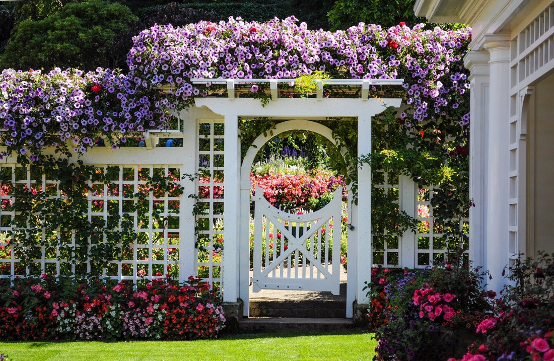 August Is for Planning: Building Next Year’s Cut Flower Garden Now