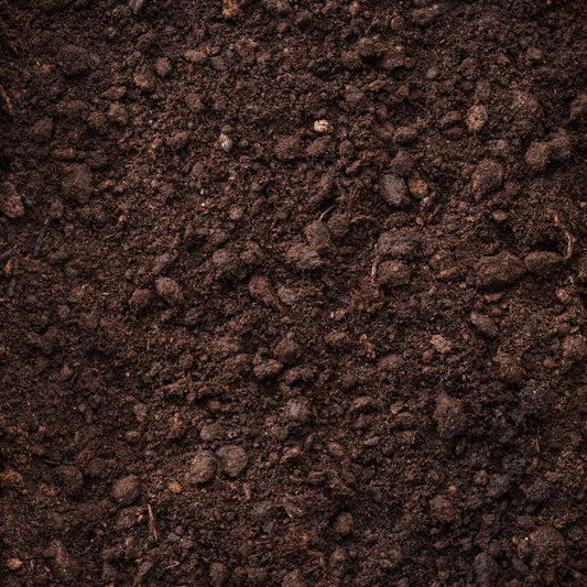 The Role of Soil Temperature in Early Bloom Success