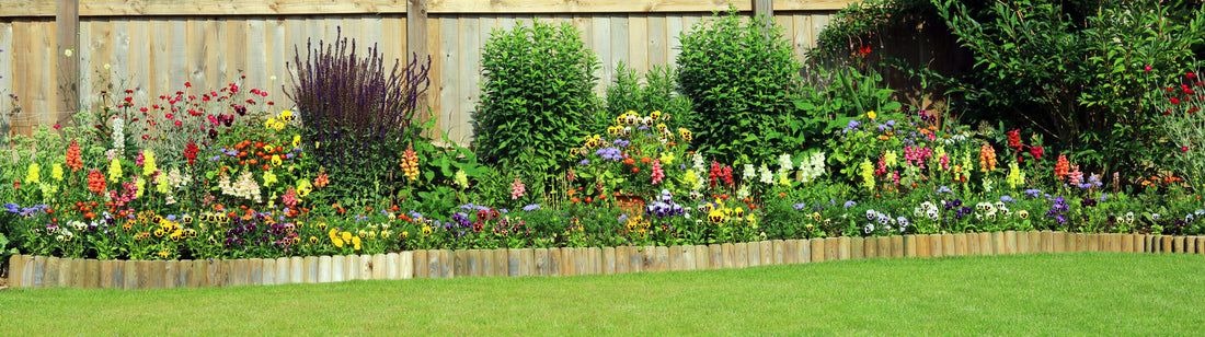 Flower Seeds vs. Bulbs: How to Use Both for a Fuller, Longer-Blooming Summer Garden