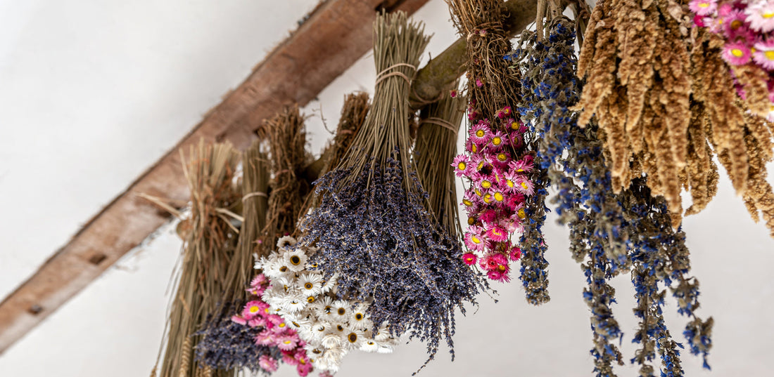Drying Flowers from the Summer Garden: How to Preserve Your Favorite Blooms for Year-Round Arrangements