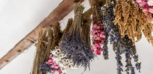Drying Flowers from the Summer Garden: How to Preserve Your Favorite Blooms for Year-Round Arrangements