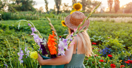 Your Late Summer Garden: What Is Still Blooming and How to Plan What Comes Next