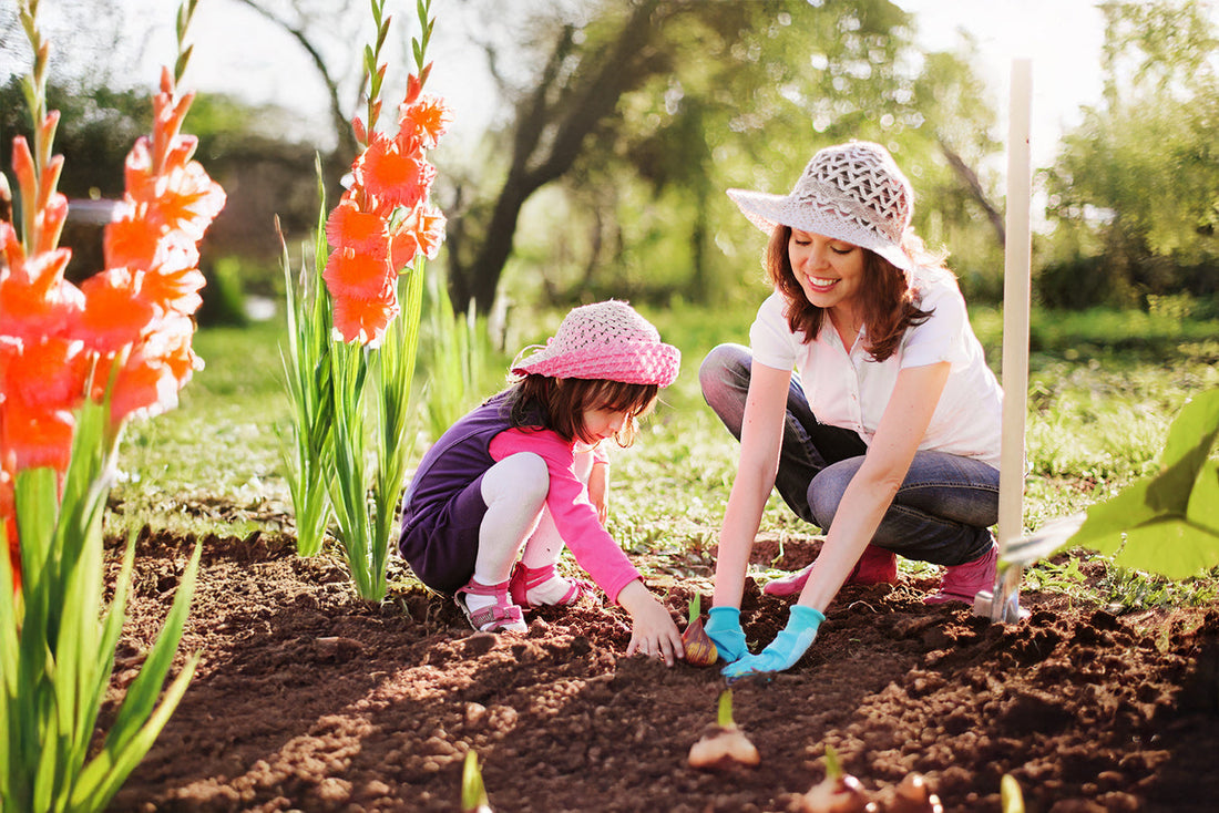 Caring for Gladiolus: Tips for Strong Stems and Vibrant Flowers