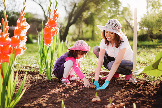 Caring for Gladiolus: Tips for Strong Stems and Vibrant Flowers