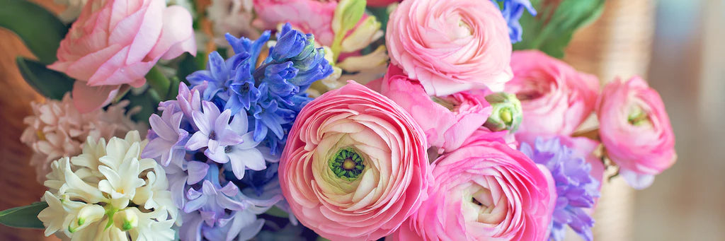 Best Bouquet Fillers For Cut Flower Garden