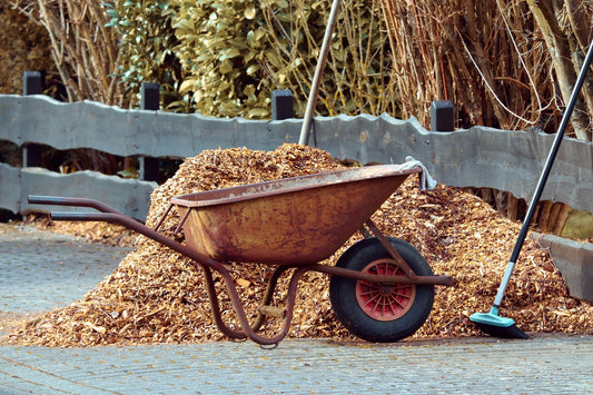 Winter Mulching: Protecting Your Bulbs for a Beautiful Spring