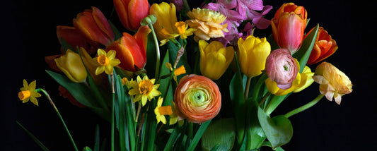 Ranunculus and Bearded Iris: Two Spring Flowers Worth Getting to Know