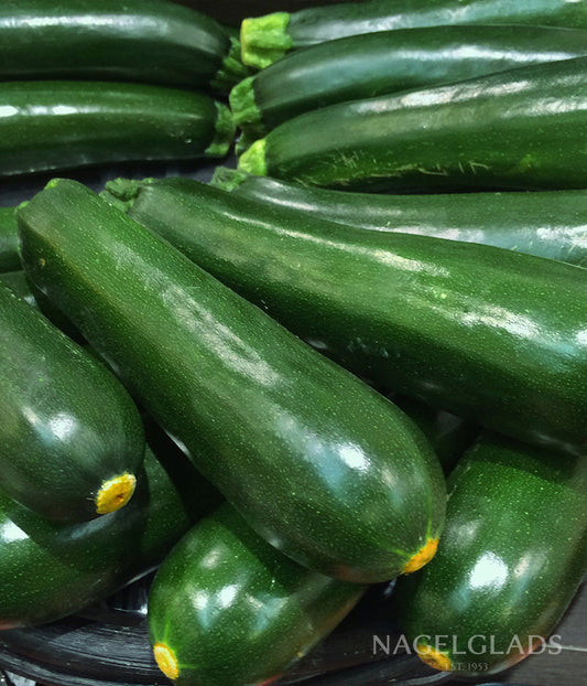 Zucchini Dark Green