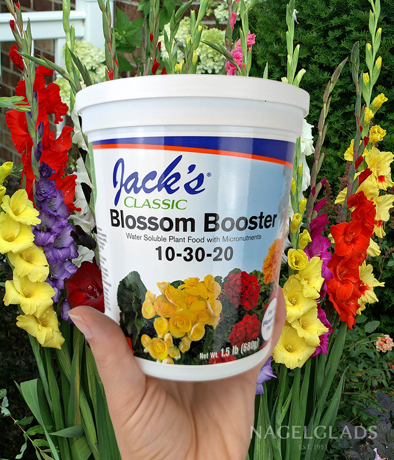 Jack's Blossom Booster 10-30-20 Fertilizer